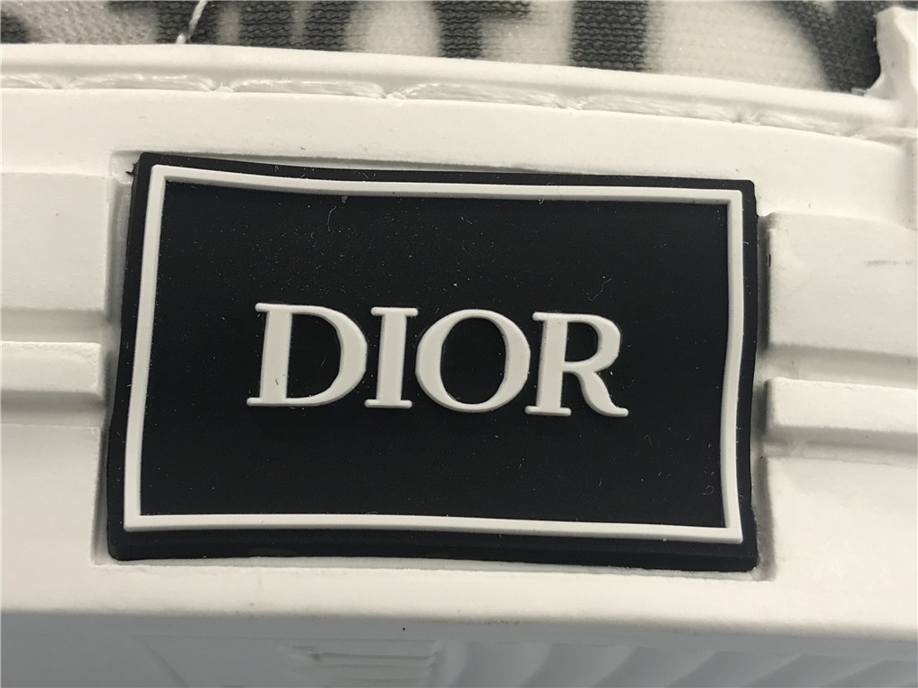 Dior B23 Low Dior Oblique